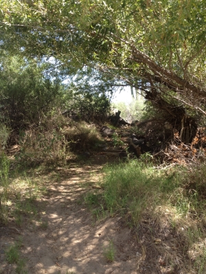 IMG 004 B 300x.jpg